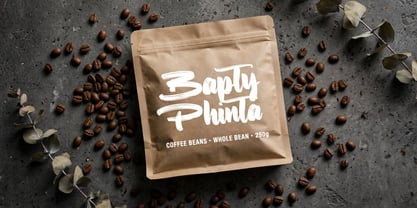 Bapty Phinta Font Poster 12