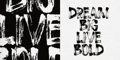 Roge Brush Font Poster 7