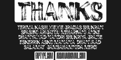 Roge Brush Font Poster 14