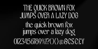 Ekspato Font Poster 9