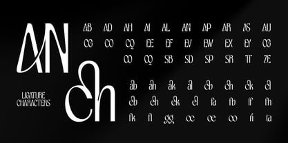 Ekspato Font Poster 11