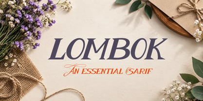 Sallshabilla Font Poster 6