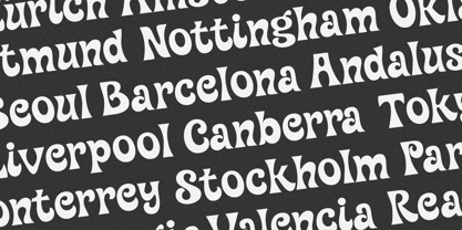 Sunner Heat Font Poster 6