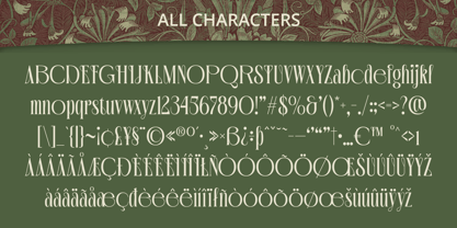 Revalyn Font Poster 6