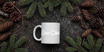 Dam Chiek Font Poster 7