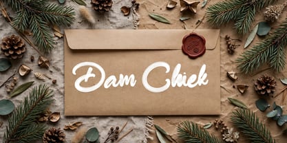 Dam Chiek Font Poster 12