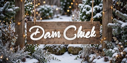 Dam Chiek Font Poster 5