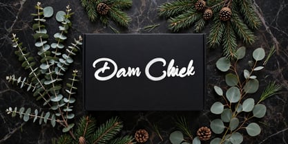 Dam Chiek Font Poster 4