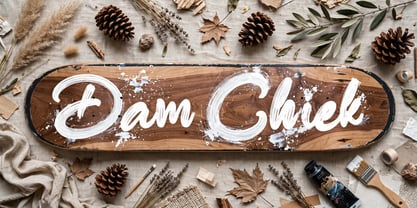 Dam Chiek Font Poster 1