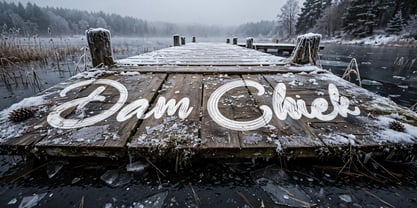 Dam Chiek Font Poster 14