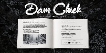 Dam Chiek Font Poster 3