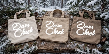 Dam Chiek Font Poster 13