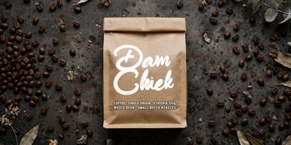 Dam Chiek Font Poster 9