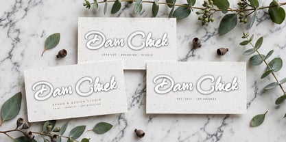 Dam Chiek Font Poster 10