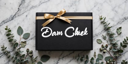 Dam Chiek Font Poster 2