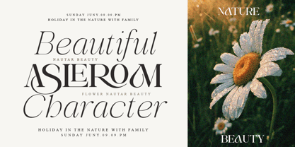 Avilona Font Poster 4