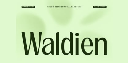 Waldien Font Poster 1