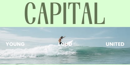 Waldien Font Poster 4