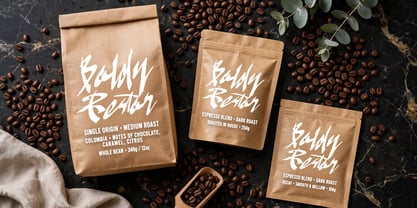 Boldy Restor Font Poster 5