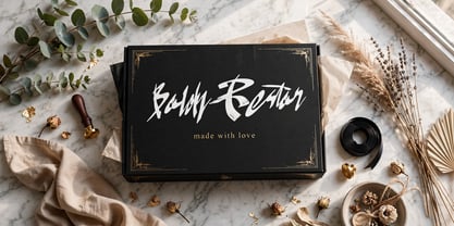 Boldy Restor Font Poster 7