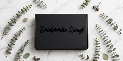 Dantemahe Script Font Poster 11
