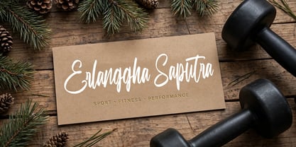 Erlanggha Saputra Font Poster 6