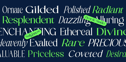 Salgano Font Poster 7