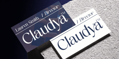 Salgano Font Poster 5