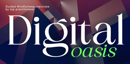 Salgano Font Poster 2