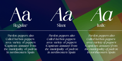 Salgano Font Poster 8