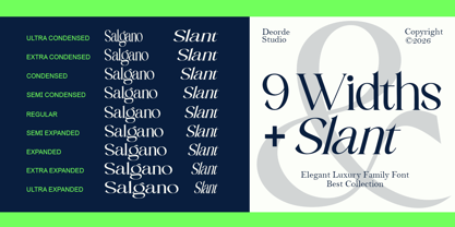 Salgano Font Poster 4
