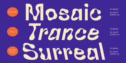 CS Brave Font Poster 4