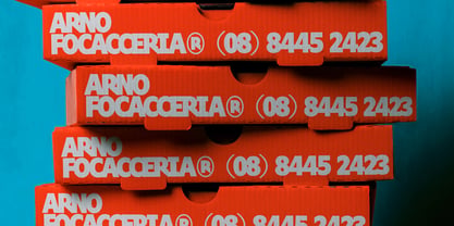 Sektor Font Poster 9