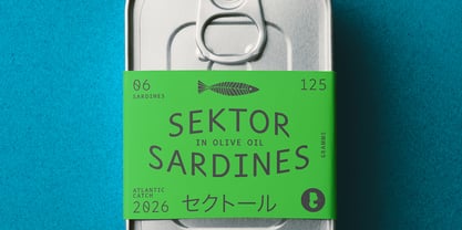 Sektor Font Poster 11