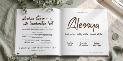 Alessya Font Poster 9