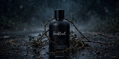 Gadstreet Font Poster 13