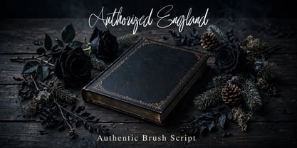Authorized England Font Poster 7
