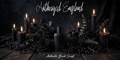 Authorized England Font Poster 12