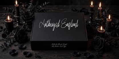 Authorized England Font Poster 1