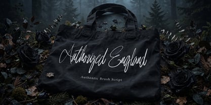 Authorized England Font Poster 3