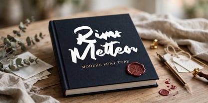 Rims Metteor Font Poster 3