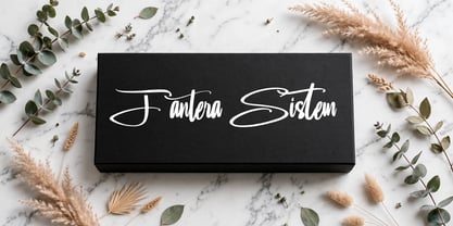 Fantera Sistem Font Poster 2