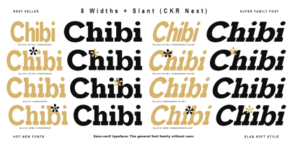 CKR Slab Soft Font Poster 12