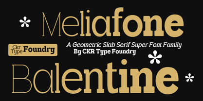 CKR Slab Soft Font Poster 11
