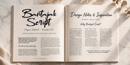 Bantajak Script Font Poster 8