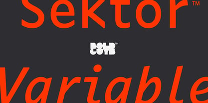 Sektor Variable Concept Font Poster 1