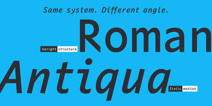 Sektor Variable Concept Font Poster 4