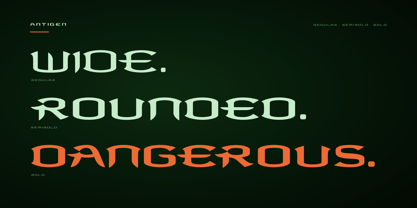 Antigen Font Poster 11