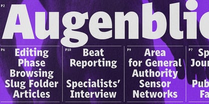 Rektor Font Poster 15