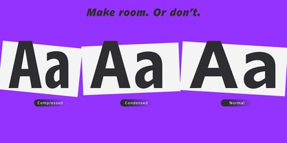 Rektor Font Poster 4